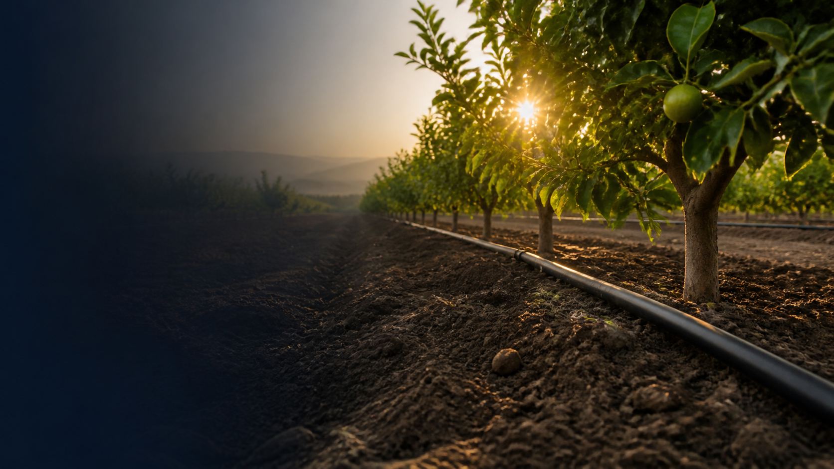 Instalación de riego agrícola en una parcela de frutales